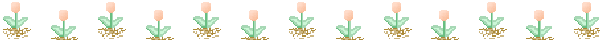 10-201
