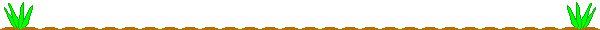 5-06