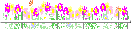 06004024