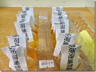尿篩1