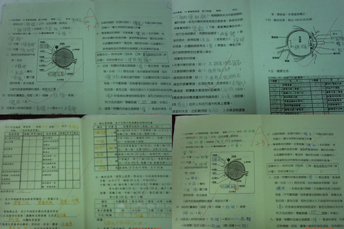視力保健學習單.jpg