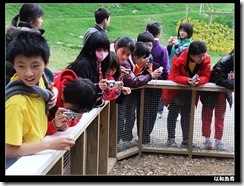 DSCF4597