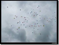 DSCF5506