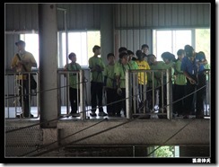 DSCF8146